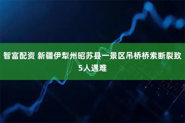 智富配资 新疆伊犁州昭苏县一景区吊桥桥索断裂致5人遇难