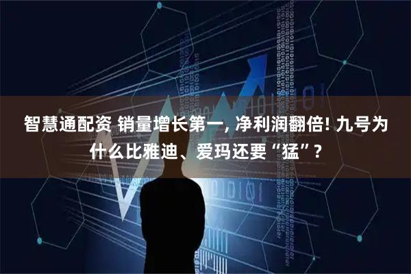 智慧通配资 销量增长第一, 净利润翻倍! 九号为什么比雅迪、爱玛还要“猛”?