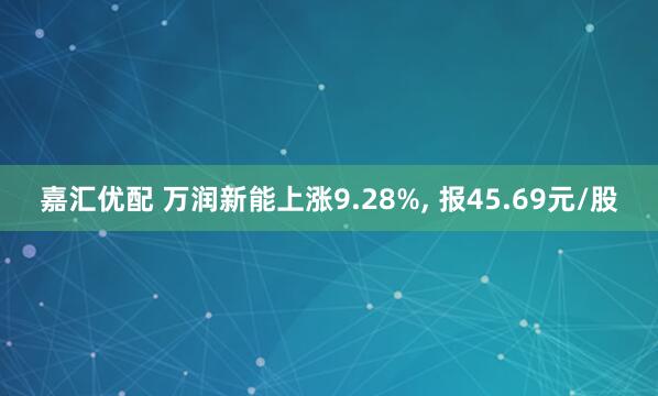嘉汇优配 万润新能上涨9.28%, 报45.69元/股