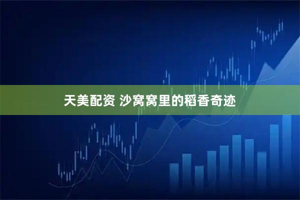 天美配资 沙窝窝里的稻香奇迹