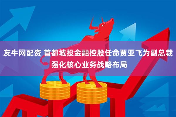 友牛网配资 首都城投金融控股任命贾亚飞为副总裁 强化核心业务战略布局