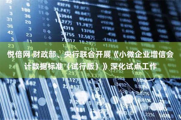悦倍网 财政部、央行联合开展《小微企业增信会计数据标准（试行版）》深化试点工作