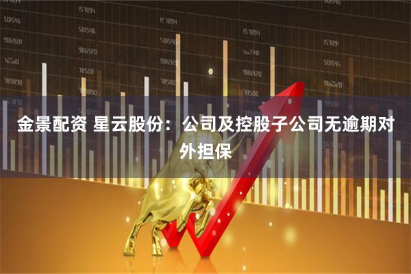金景配资 星云股份：公司及控股子公司无逾期对外担保