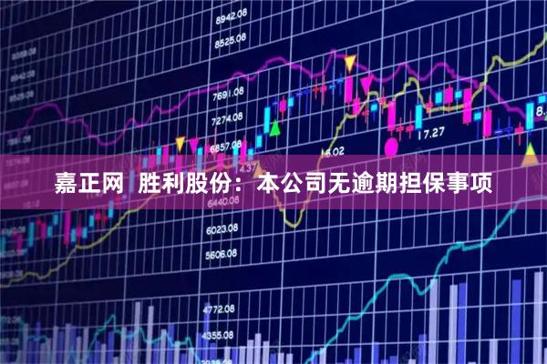 嘉正网  胜利股份：本公司无逾期担保事项