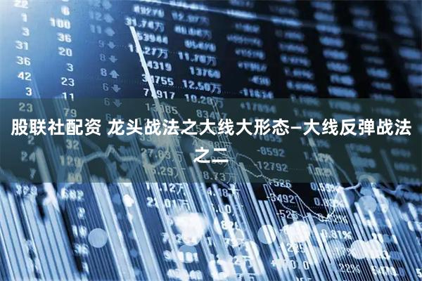 股联社配资 龙头战法之大线大形态—大线反弹战法之二