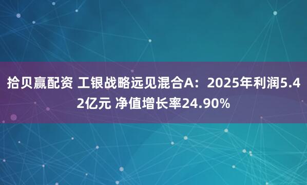拾贝赢配资 工银战略远见混合A：2025年利润5.42亿元 净值增长率24.90%